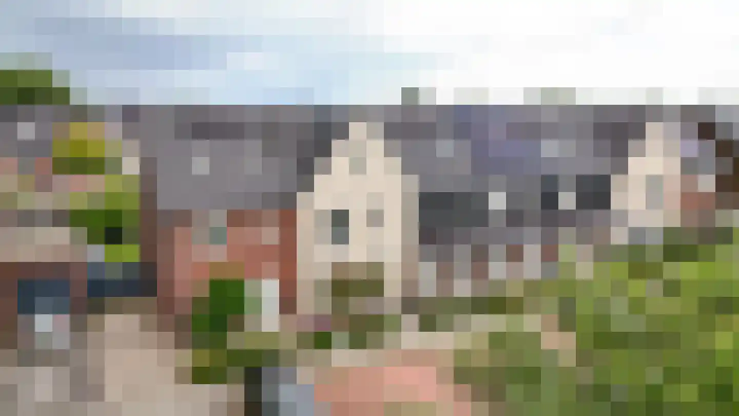 Koolzaadveld 57 Beneden-Leeuwen thumbnail 44