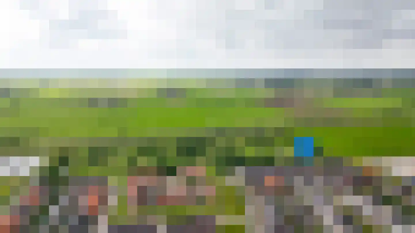Koolzaadveld 57 Beneden-Leeuwen thumbnail 46