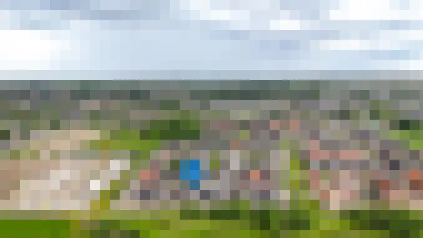 Koolzaadveld 57 Beneden-Leeuwen thumbnail 47