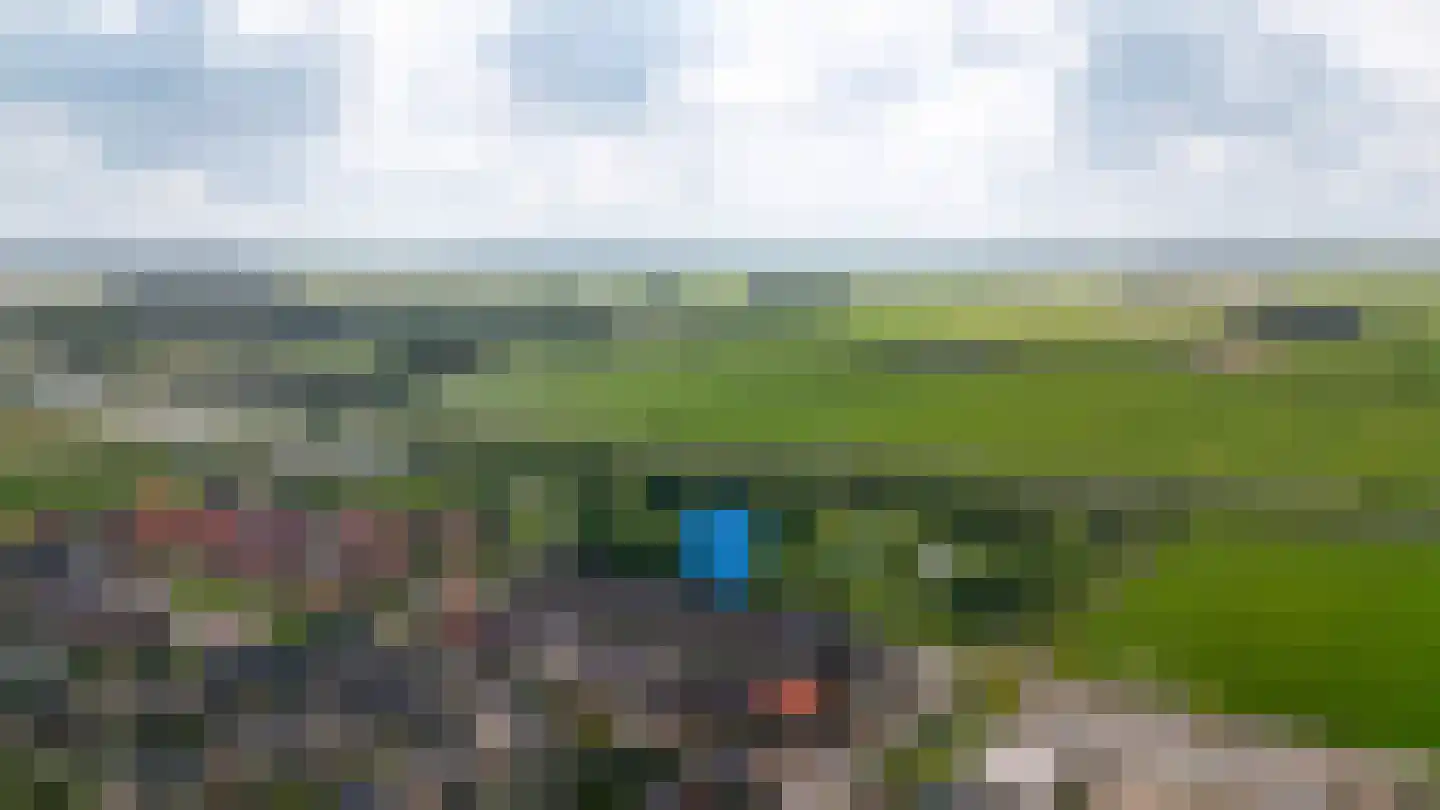 Koolzaadveld 57 Beneden-Leeuwen thumbnail 5