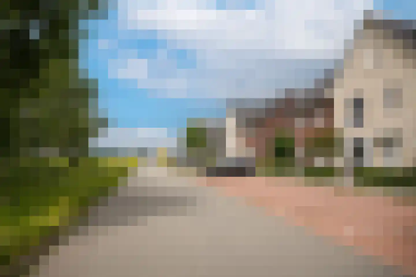 Koolzaadveld 57 Beneden-Leeuwen thumbnail 6