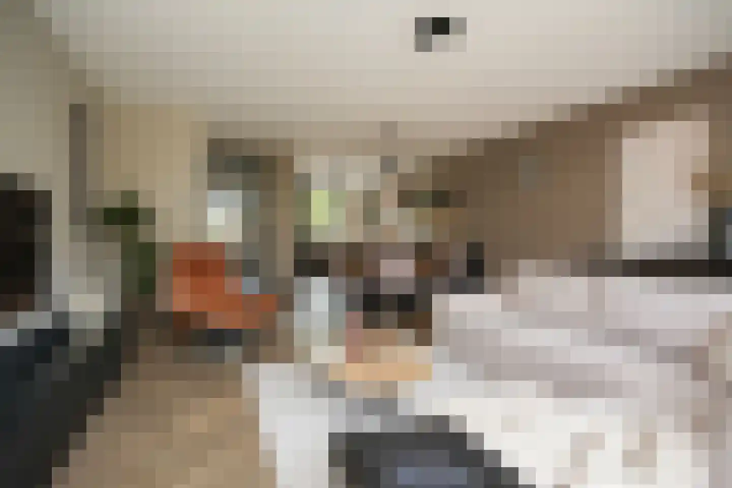 Koolzaadveld 57 Beneden-Leeuwen thumbnail 7