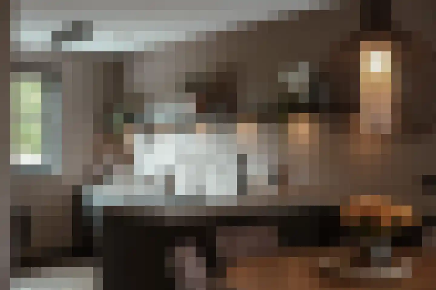 Koolzaadveld 57 Beneden-Leeuwen thumbnail 9