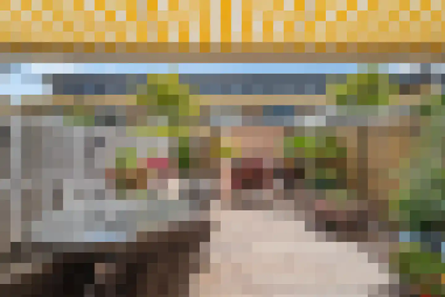 Koolzaadveld 7 Den Haag thumbnail 21