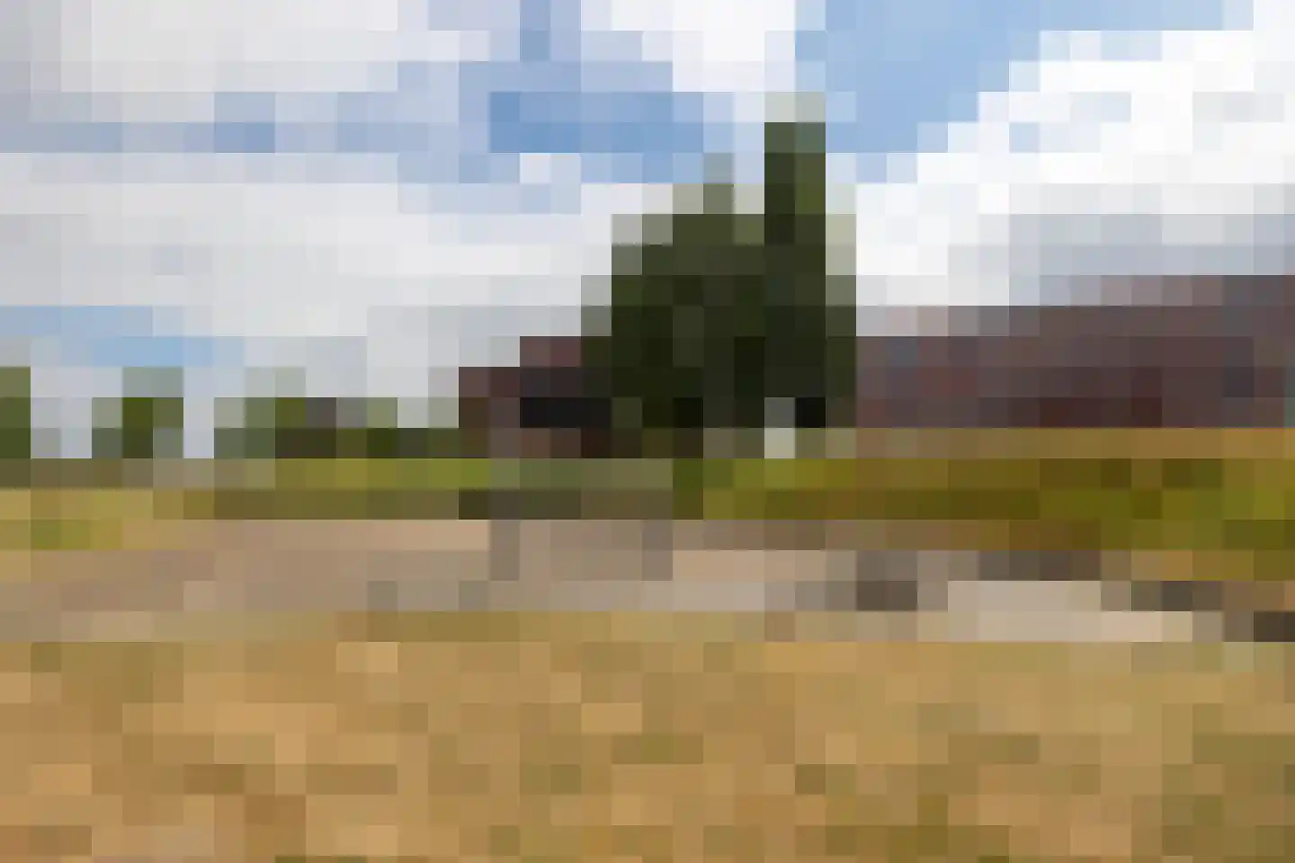 Koolzaadveld 7 Den Haag thumbnail 42