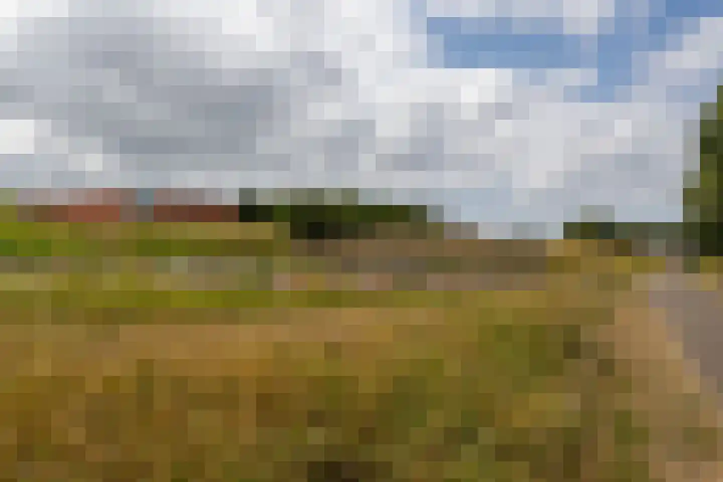 Koolzaadveld 7 Den Haag thumbnail 43
