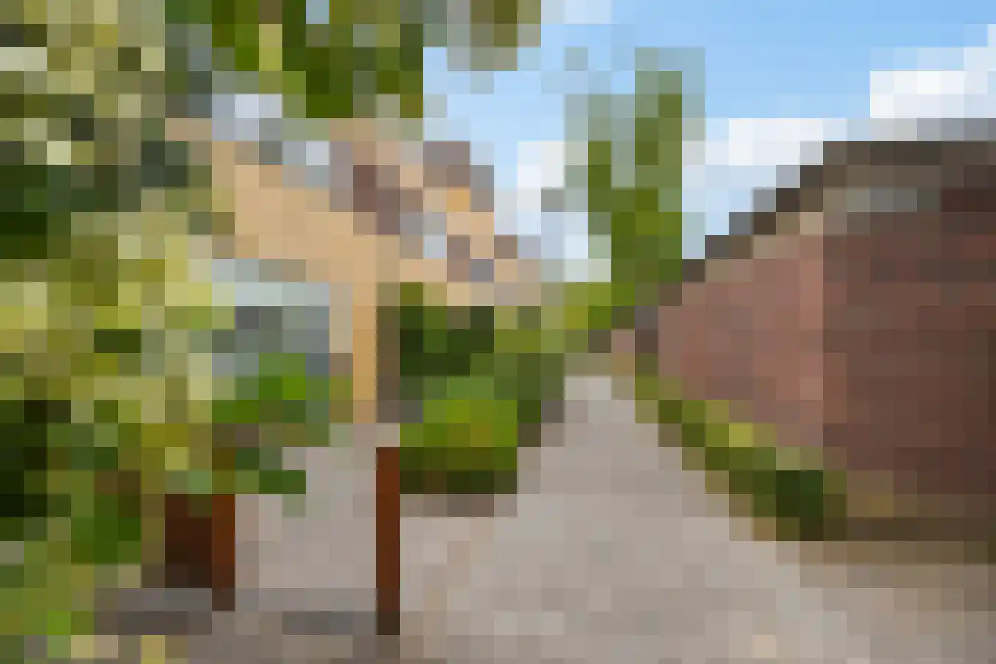 Koolzaadveld 7 Den Haag thumbnail 6