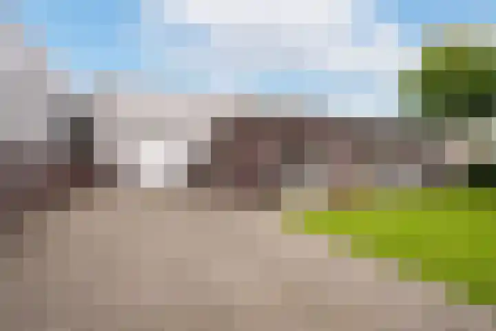 Koolzaadweg 41 Berghem thumbnail 22