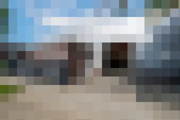 Koolzaadweg 41 Berghem thumbnail 28