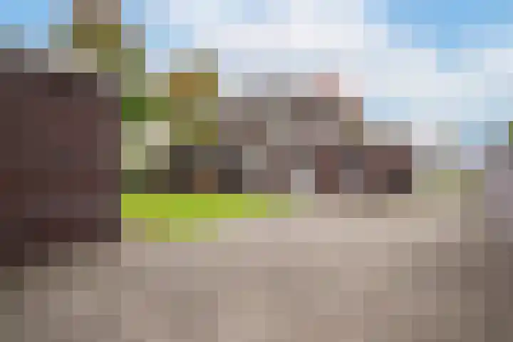 Koolzaadweg 41 Berghem thumbnail 32