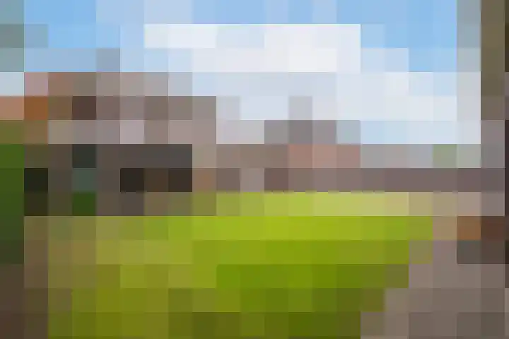 Koolzaadweg 41 Berghem thumbnail 33