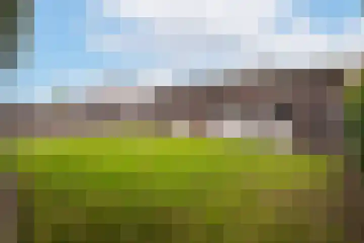 Koolzaadweg 41 Berghem thumbnail 34