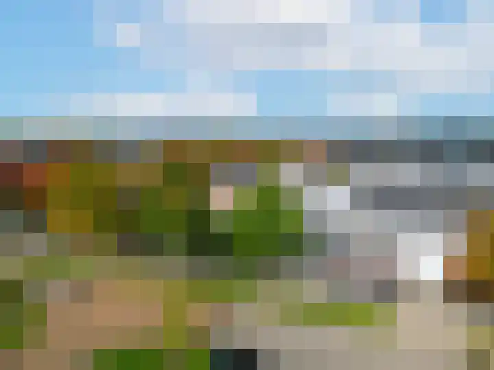 Koolzaadweg 41 Berghem thumbnail 35