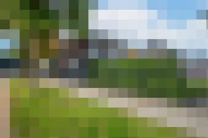 Koolzaadweg 41 Berghem thumbnail 37