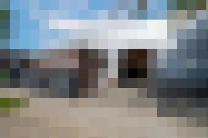 Koolzaadweg 41 Berghem thumbnail 4