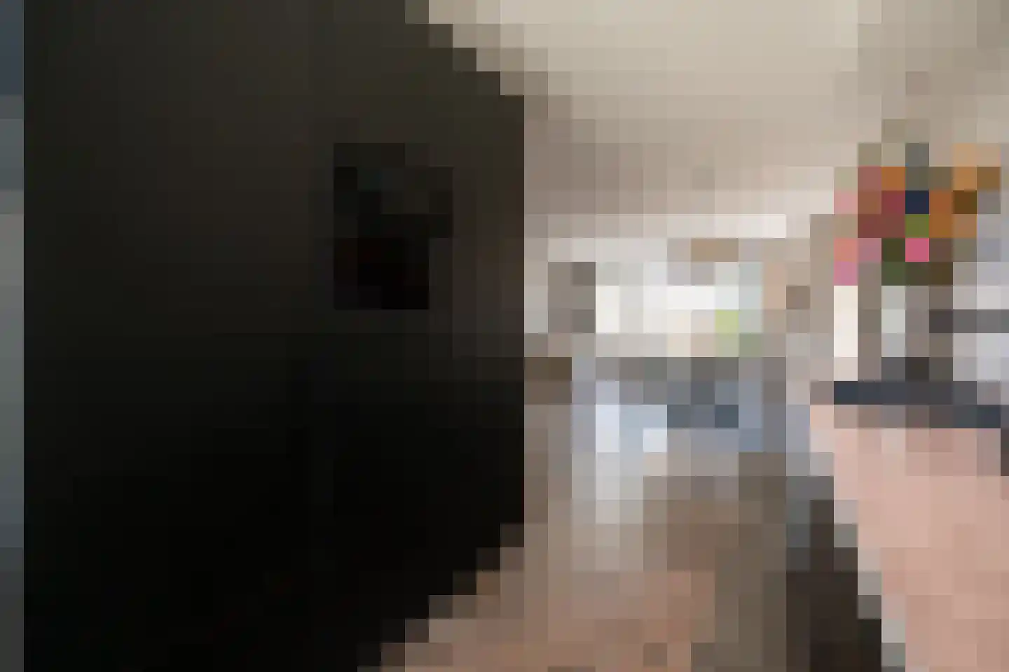 Koolzaadweg 45 Berghem thumbnail 13