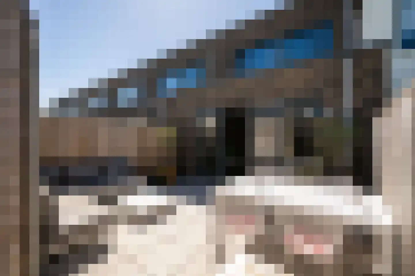 Koolzaadweg 45 Berghem thumbnail 21