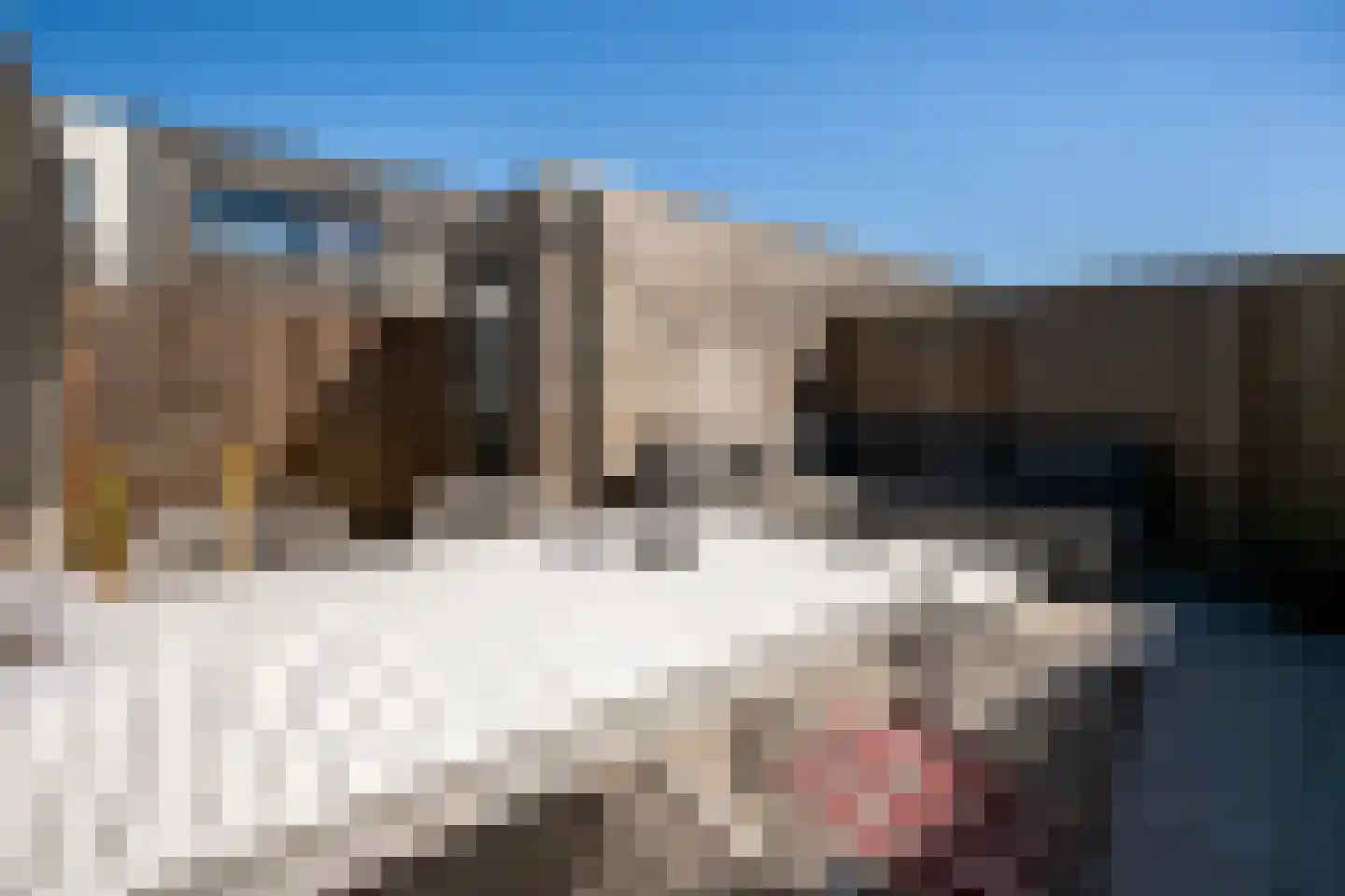 Koolzaadweg 45 Berghem thumbnail 23