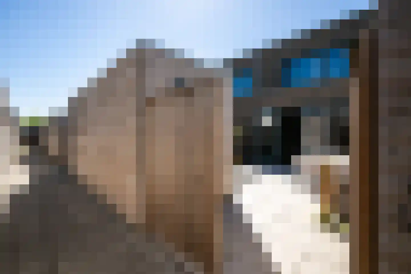 Koolzaadweg 45 Berghem thumbnail 24