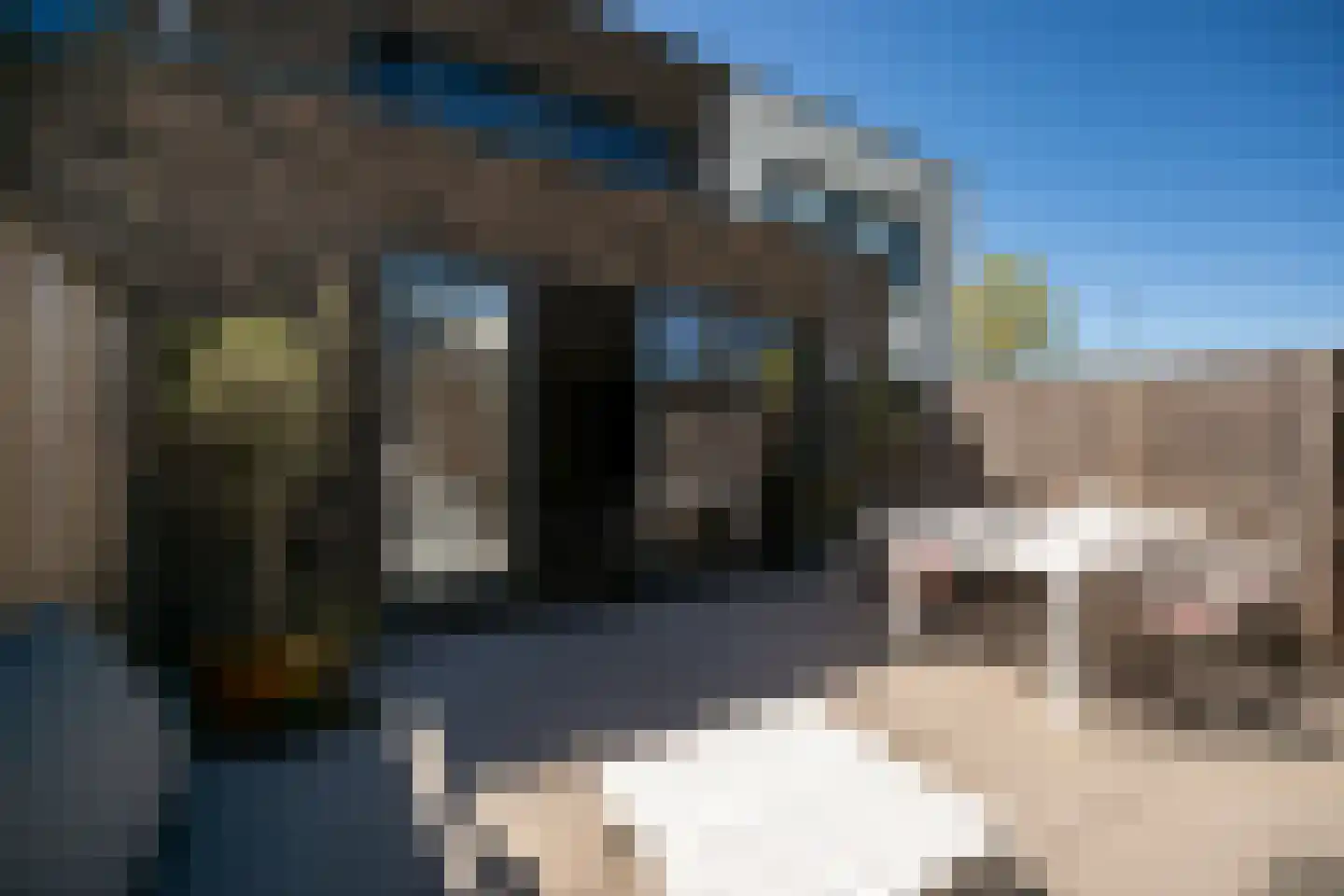 Koolzaadweg 45 Berghem thumbnail 4