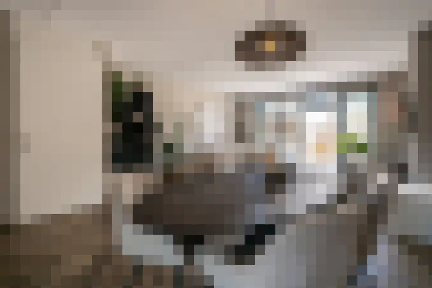 Koolzaadweg 45 Berghem thumbnail 8