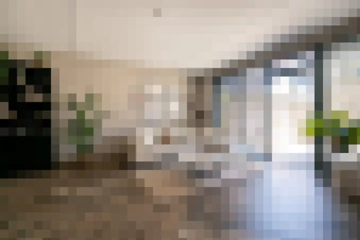 Koolzaadweg 45 Berghem thumbnail 9