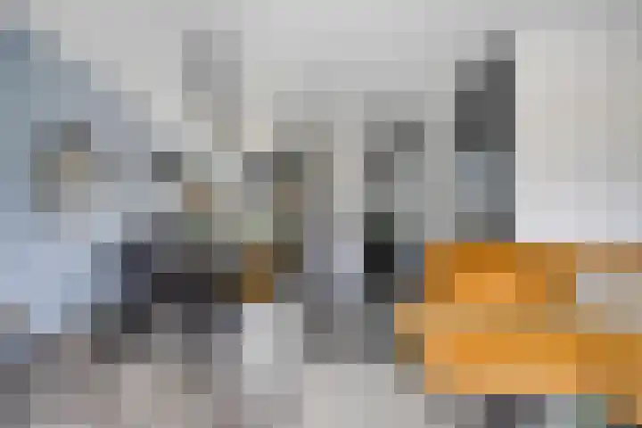 Koolzaadweg 51 Berghem thumbnail 11