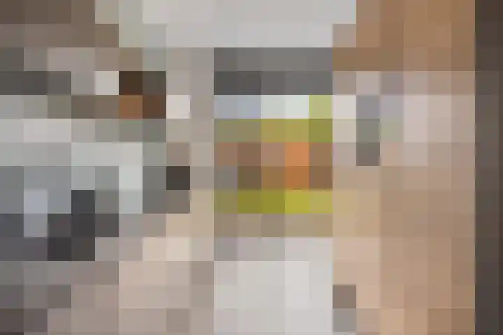 Koolzaadweg 51 Berghem thumbnail 13