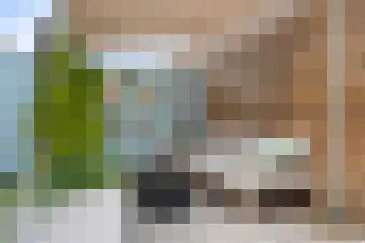 Koolzaadweg 51 Berghem thumbnail 32