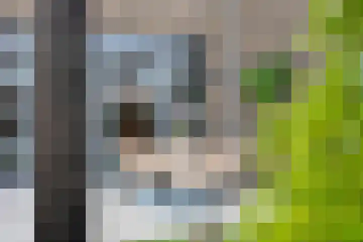 Koolzaadweg 51 Berghem thumbnail 33