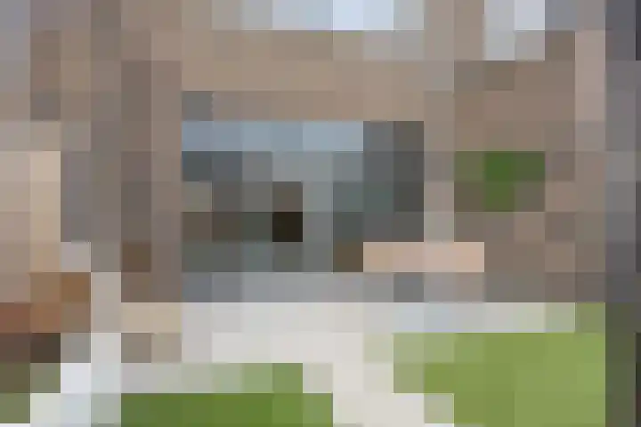 Koolzaadweg 51 Berghem thumbnail 34