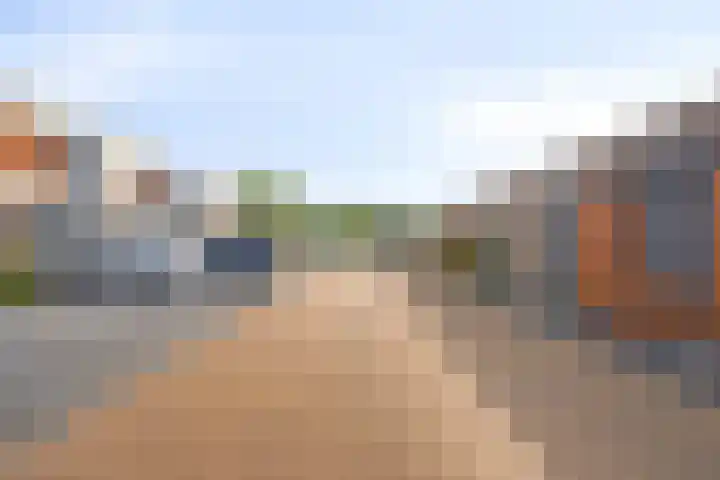 Koolzaadweg 51 Berghem thumbnail 35