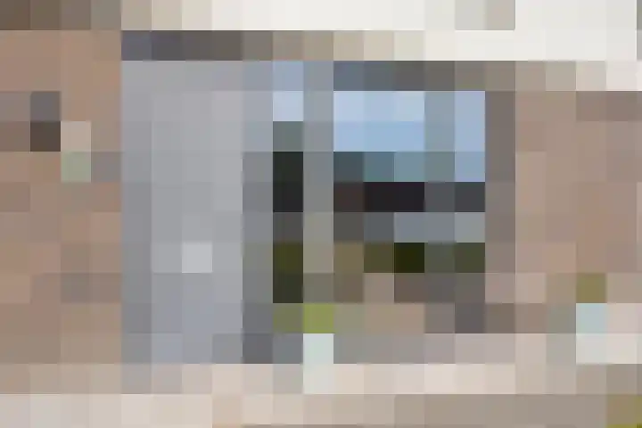 Koolzaadweg 51 Berghem thumbnail 7