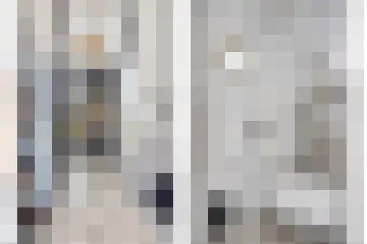 Koolzaadweg 51 Berghem thumbnail 8