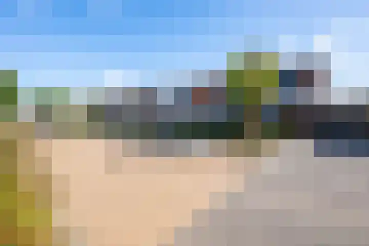 Koolzaadweg 53 Berghem thumbnail 22