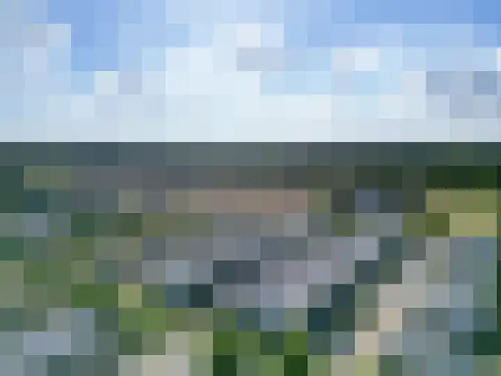 Koolzaadweg 53 Berghem thumbnail 23