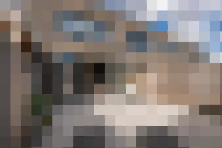 Koolzaadweg 53 Berghem thumbnail 4