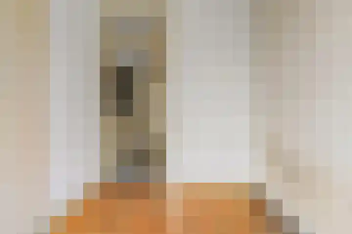 Koopmans van Boekerenstraat 11 Den Haag thumbnail 15