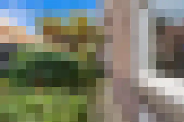 Koopmans van Boekerenstraat 11 Den Haag thumbnail 18