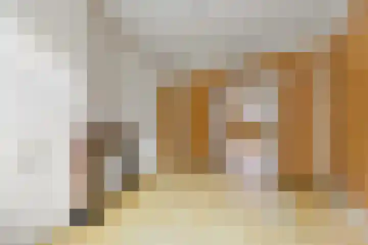 Koopmans van Boekerenstraat 11 Den Haag thumbnail 4