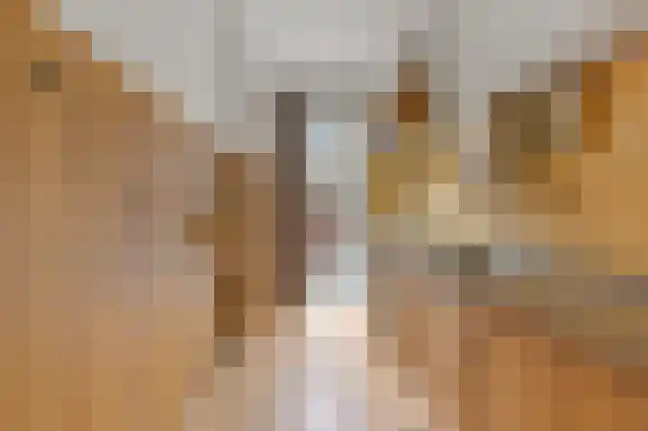 Koopmans van Boekerenstraat 11 Den Haag thumbnail 8