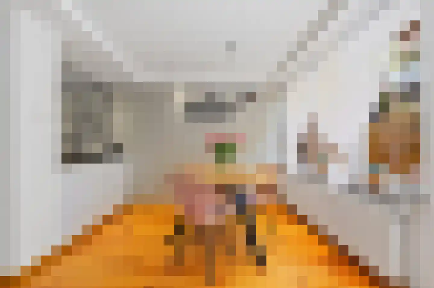 Koopmans van Boekerenstraat 25 Den Haag thumbnail 11