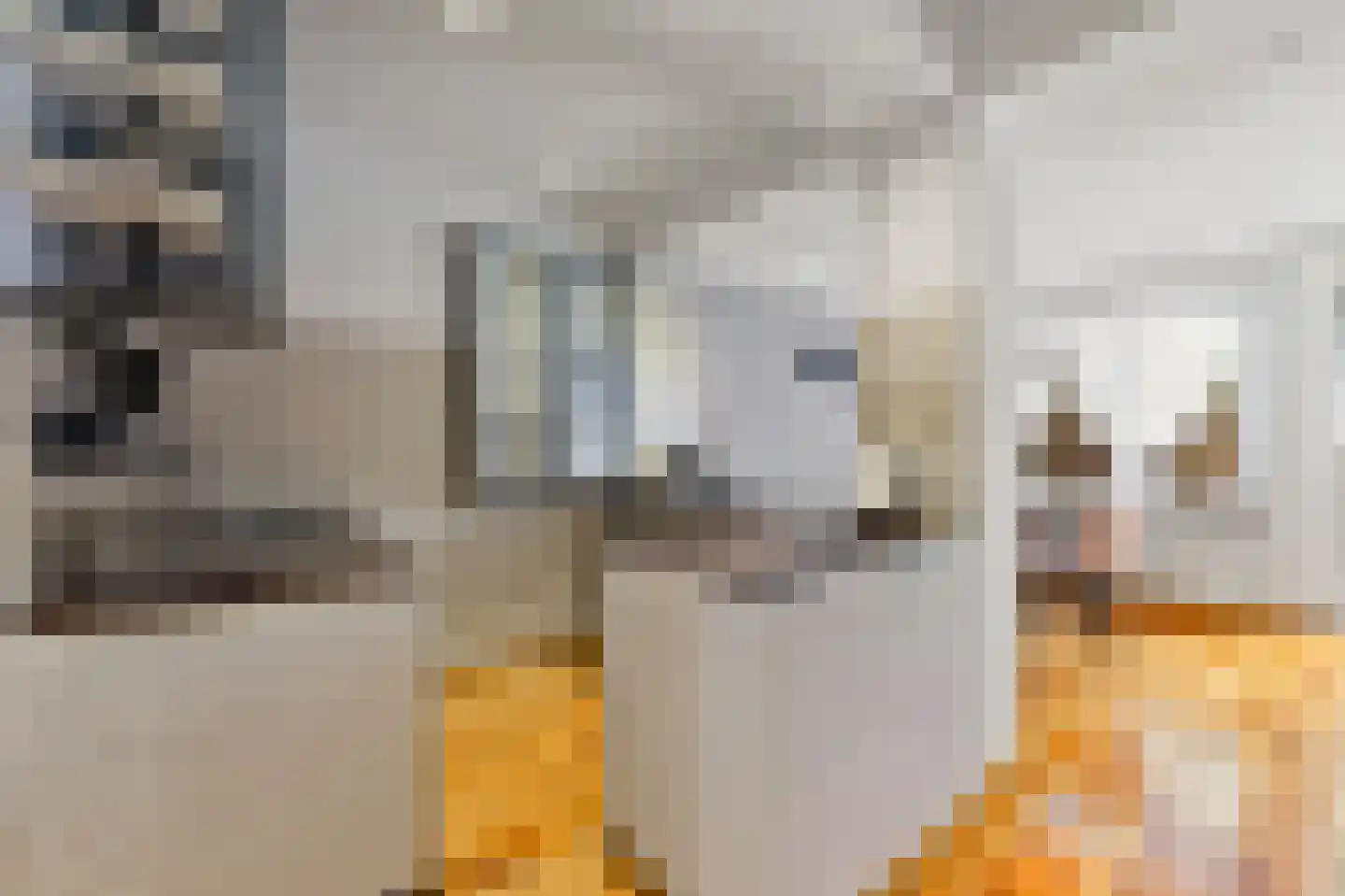 Koopmans van Boekerenstraat 25 Den Haag thumbnail 12