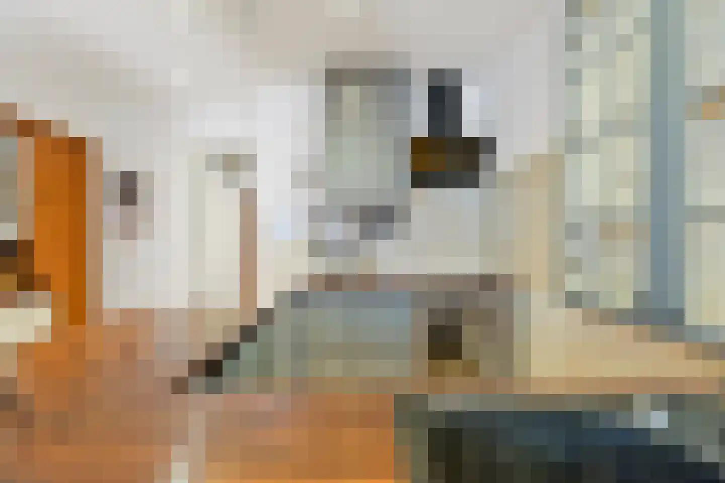 Koopmans van Boekerenstraat 25 Den Haag thumbnail 13