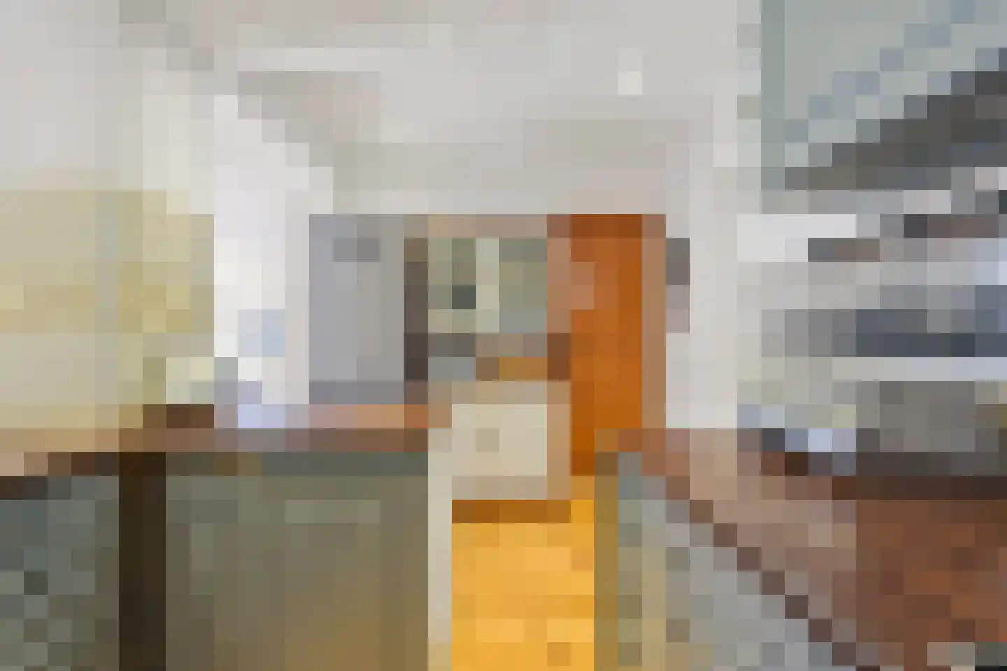 Koopmans van Boekerenstraat 25 Den Haag thumbnail 15
