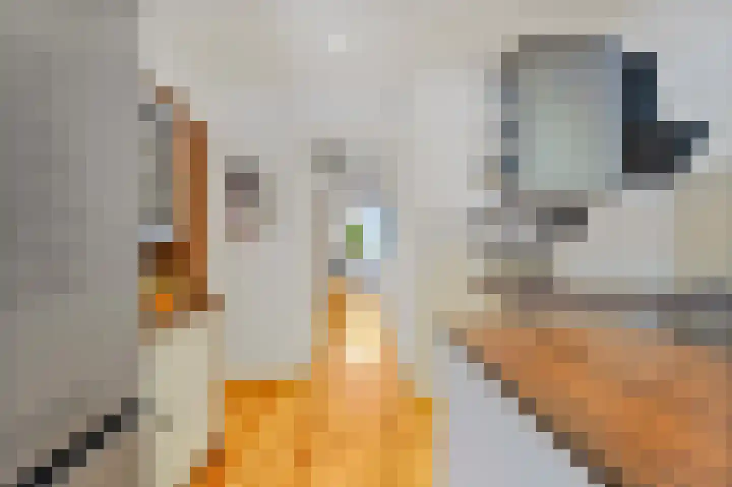 Koopmans van Boekerenstraat 25 Den Haag thumbnail 16