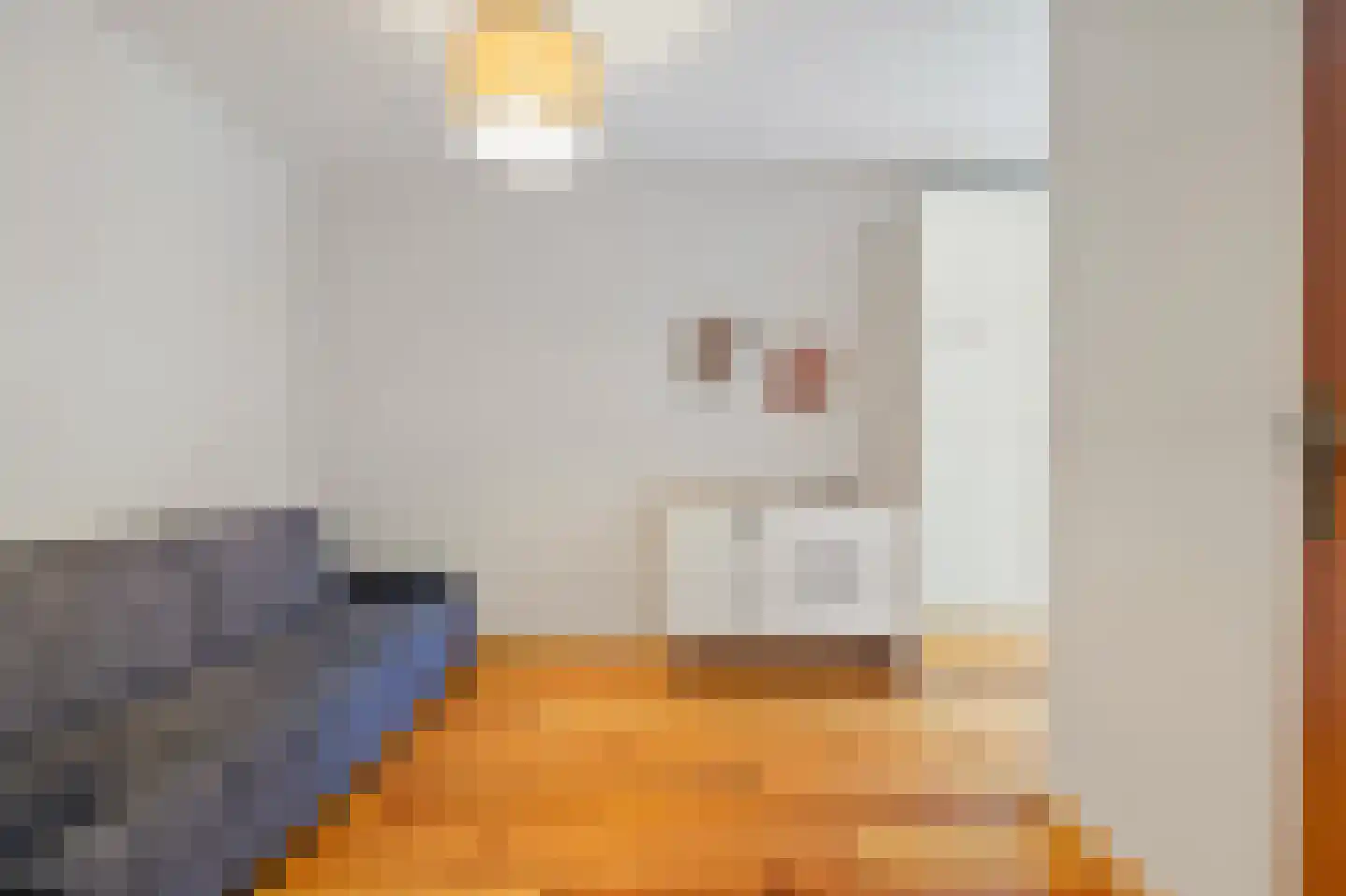 Koopmans van Boekerenstraat 25 Den Haag thumbnail 20