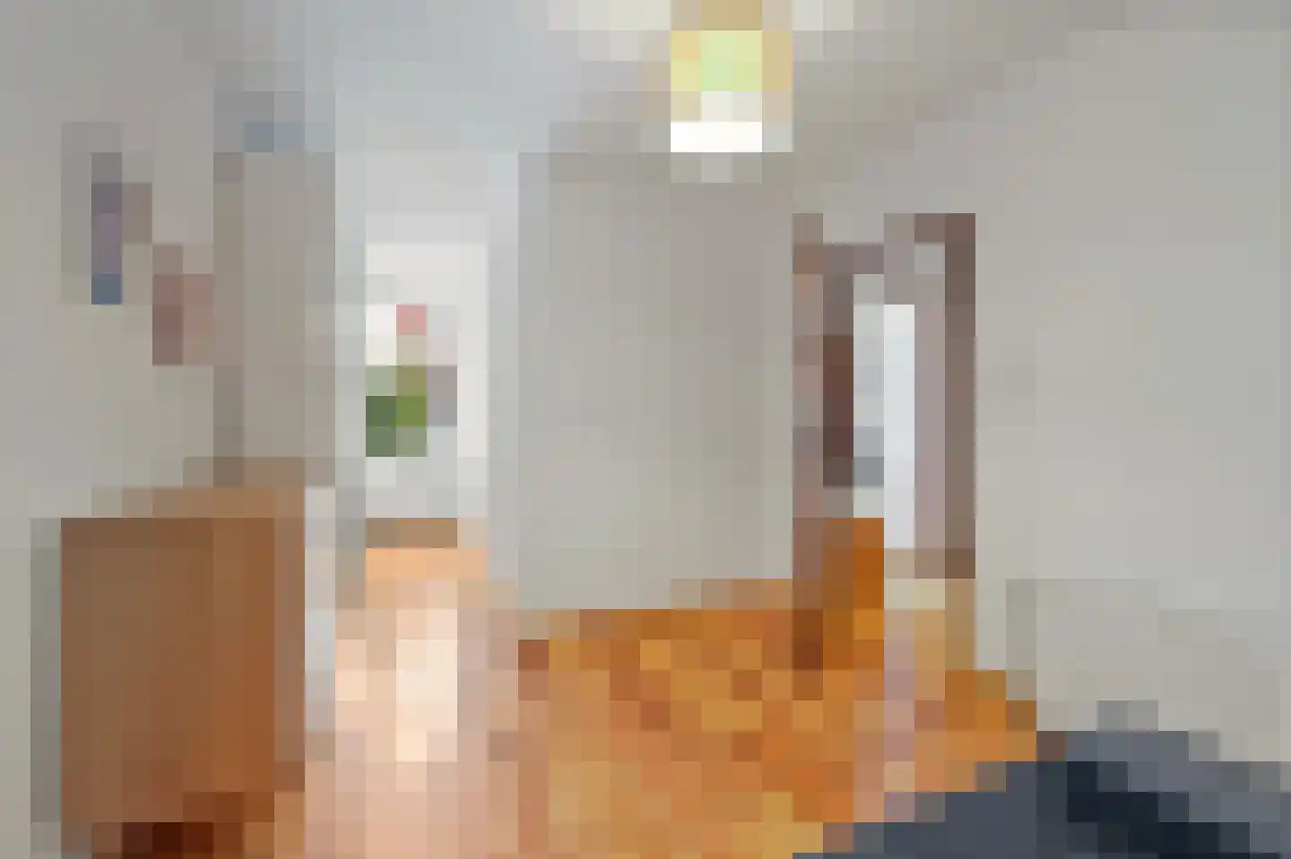 Koopmans van Boekerenstraat 25 Den Haag thumbnail 21