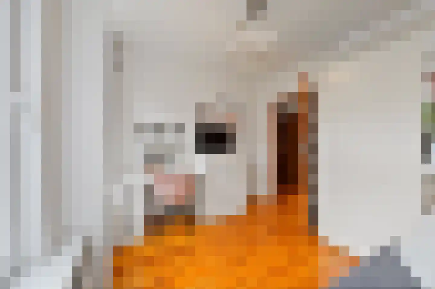 Koopmans van Boekerenstraat 25 Den Haag thumbnail 26