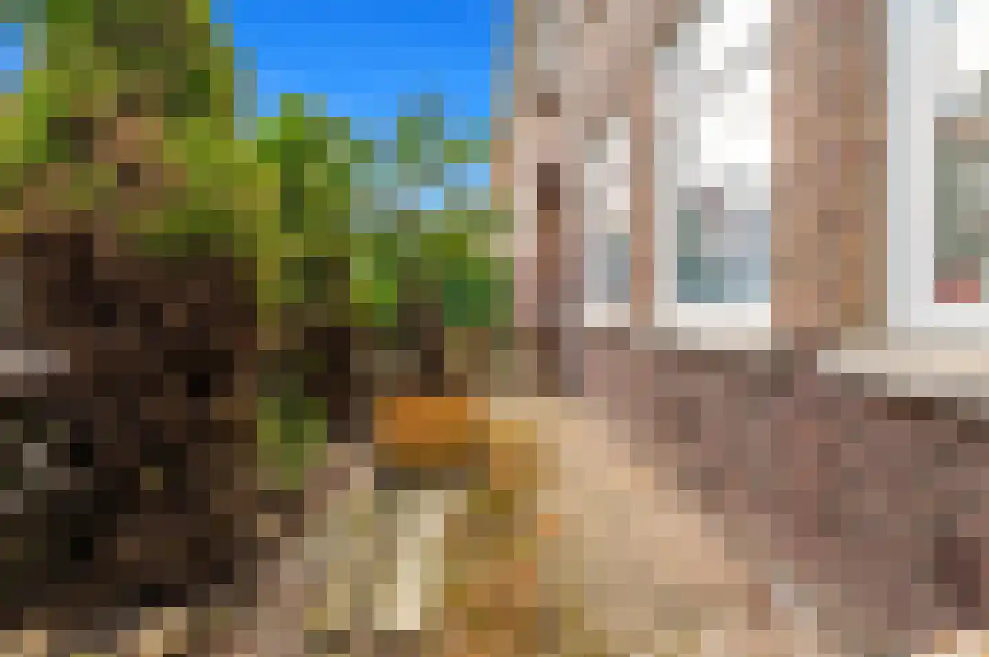 Koopmans van Boekerenstraat 25 Den Haag thumbnail 30